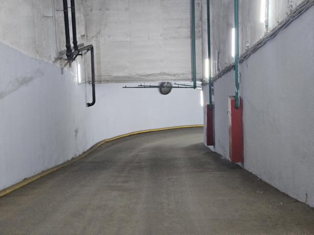 Лот 4026781
